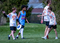 Indy Invite 2026