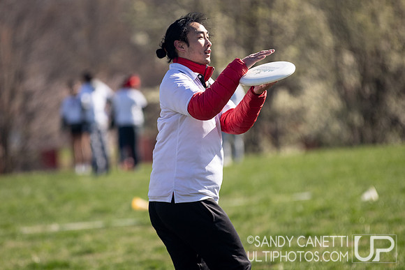 Fools Fest 2023 - Saturday Action