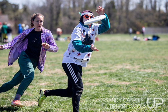 Fools Fest 2023 - Saturday Action