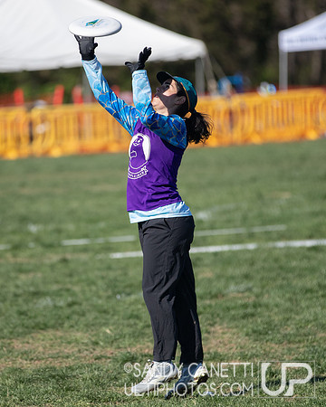 Fools Fest 2023 - Sunday Action
