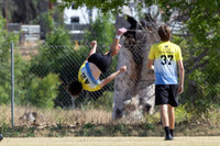 Southwest D1 College Regionals 2026