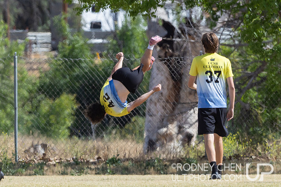 Southwest D1 College Regionals 2026