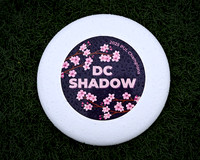 DC Shadow vs NY Gridlock