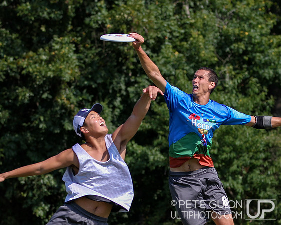 Capitol Sectionals
