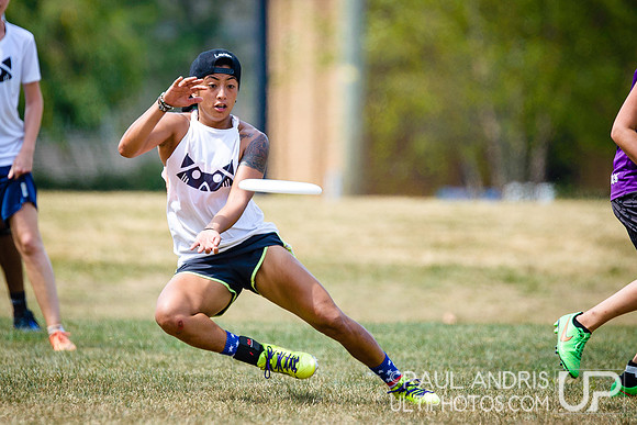 2015 USAU Founders Mixed Sectionals