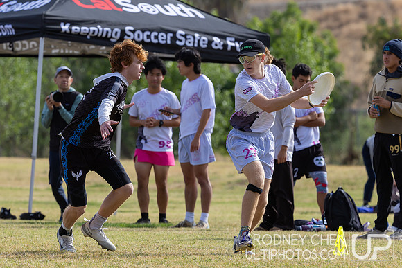 Southwest D1 College Regionals 2026