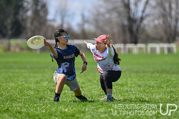 D3 Metro East Regionals 2026 Womens