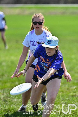 D3 Metro East Regionals 2026 Womens