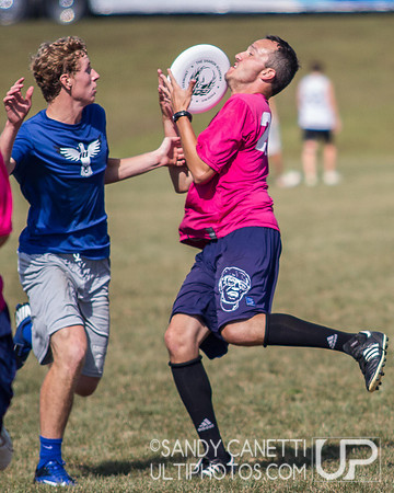 Sunday - Metro NY Sectionals