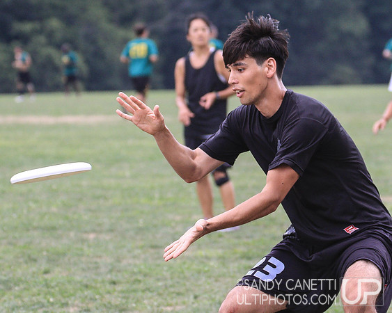 Metro New York Sectionals - Sunday