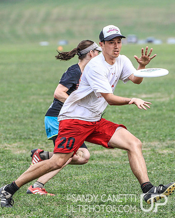 Metro New York Sectionals - Sunday