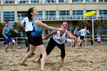 Beach Bulls vs Big Fish