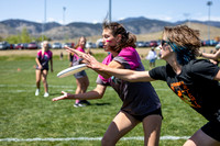 2026 Colorado High School Championships