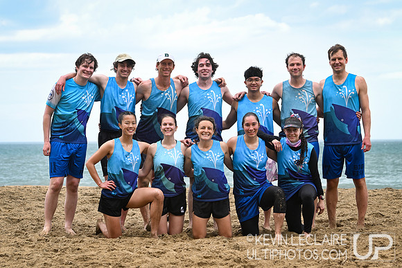 Big Fish Team Photo - 2026 USA Ultimate Beach Championships