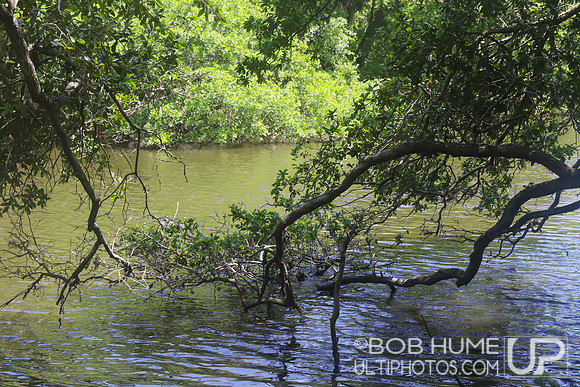 Saturday April 11, 2026 Fire On The Bayou presented by NODA.