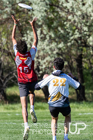 2026 Colorado High School Championships