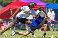 2026 California High School Champs