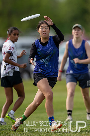 Day 2 at the 2026 USAU D-III College Championships