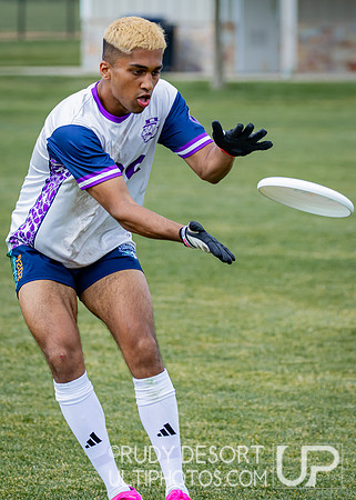 2026 USA Ultimate Division III College Championships