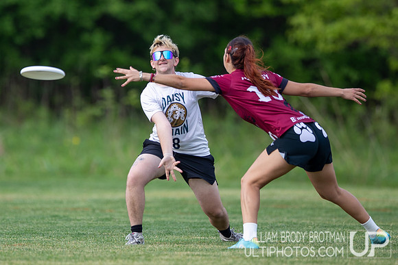 Day 3 at the 2026 USAU D-III College Championships