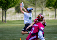 2026 USA Ultimate Division III College Championships