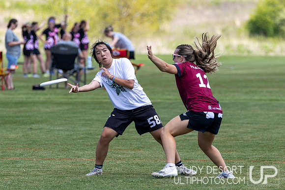 2026 USA Ultimate Division III College Championships