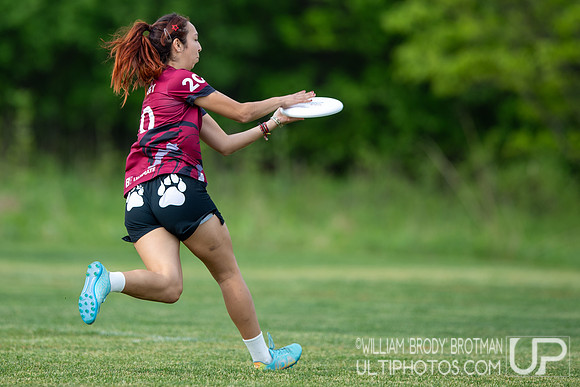 Day 3 at the 2026 USAU D-III College Championships