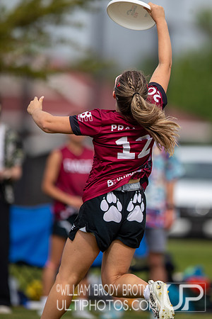 Day 3 at the 2026 USAU D-III College Championships