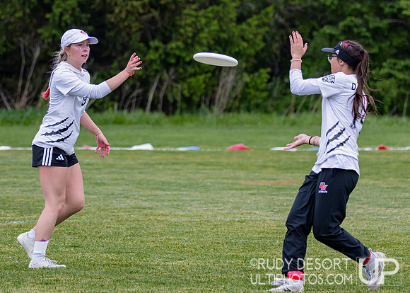 2026 USA Ultimate Division III College Championships