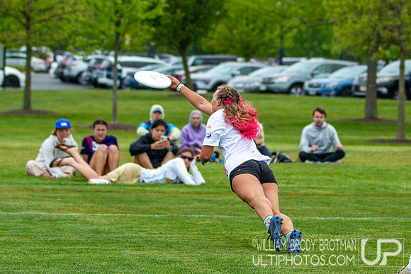 Day 2 at the 2026 USAU D-III College Championships