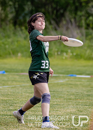 2026 USA Ultimate Division III College Championships