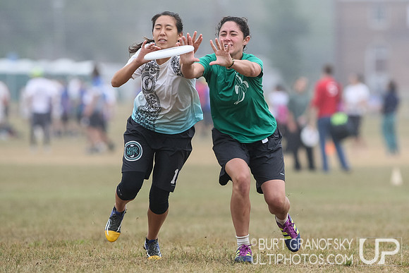 NE Regionals 2015, Mixed Division