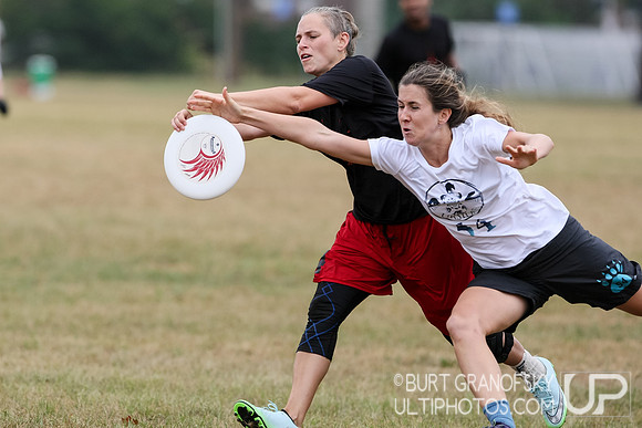NE Regionals 2015, Mixed Division