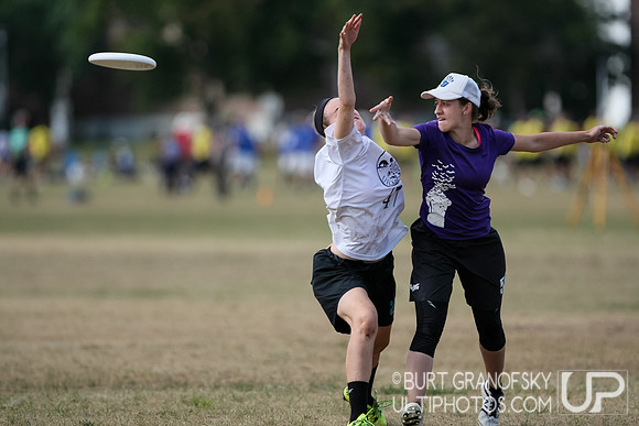 NE Regionals 2015, Mixed Division