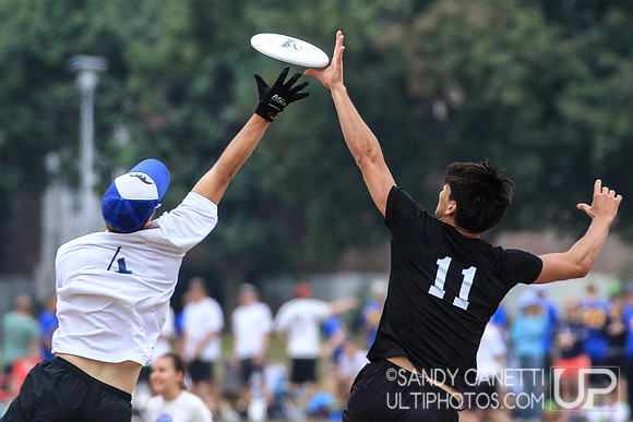 USAU Northeast Mixed Regionals -- Saturday