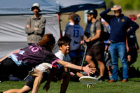 2026 Colorado High School Championships