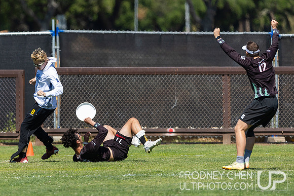 2025 USAU NorCal D1 Conference Championships