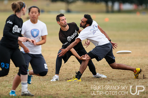 NE Regionals 2015, Mixed Division