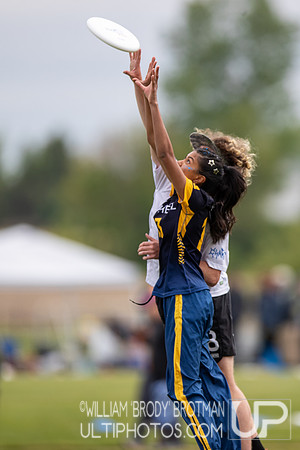 Day 1 at the 2026 USAU D-I College Championships