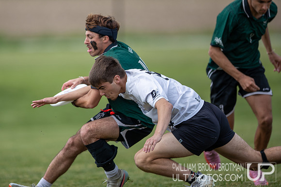Day 1 at the 2026 USAU D-I College Championships