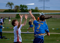 2026 USA Ultimate Division I College Championships