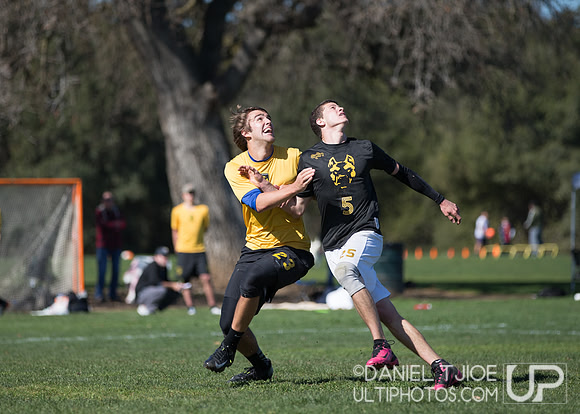 Stanford-Invite-2013-Saturday-DXT-35