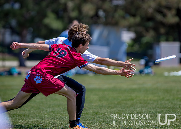2026 USA Ultimate Division I College Championships