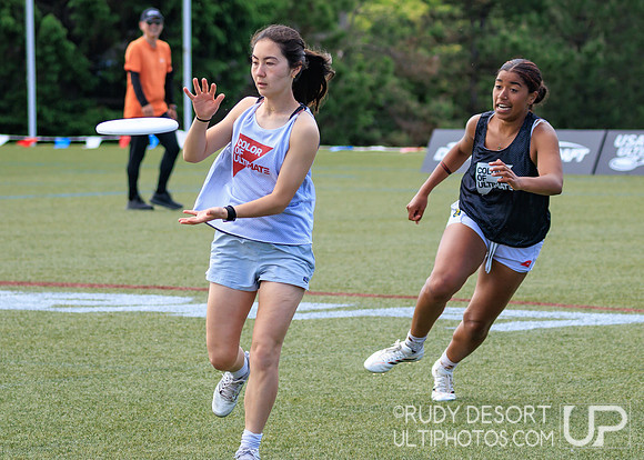 2026 USA Ultimate Division I College Championships