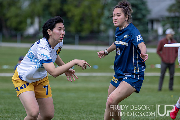 2026 USA Ultimate Division I College Championships