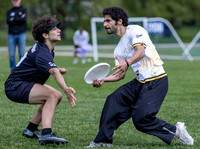 2026 USA Ultimate Division I College Championships