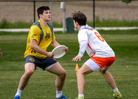 2026 USA Ultimate Division I College Championships