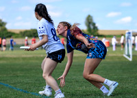 2026 USA Ultimate Division I College Championships