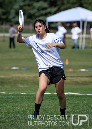 2026 USA Ultimate Division I College Championships