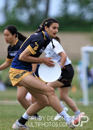 2026 USA Ultimate Division I College Championships